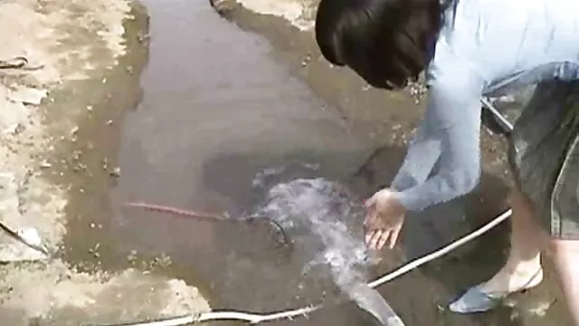 ロシアのカップルが性別を決定する 無料 女の子 エッチ 動画